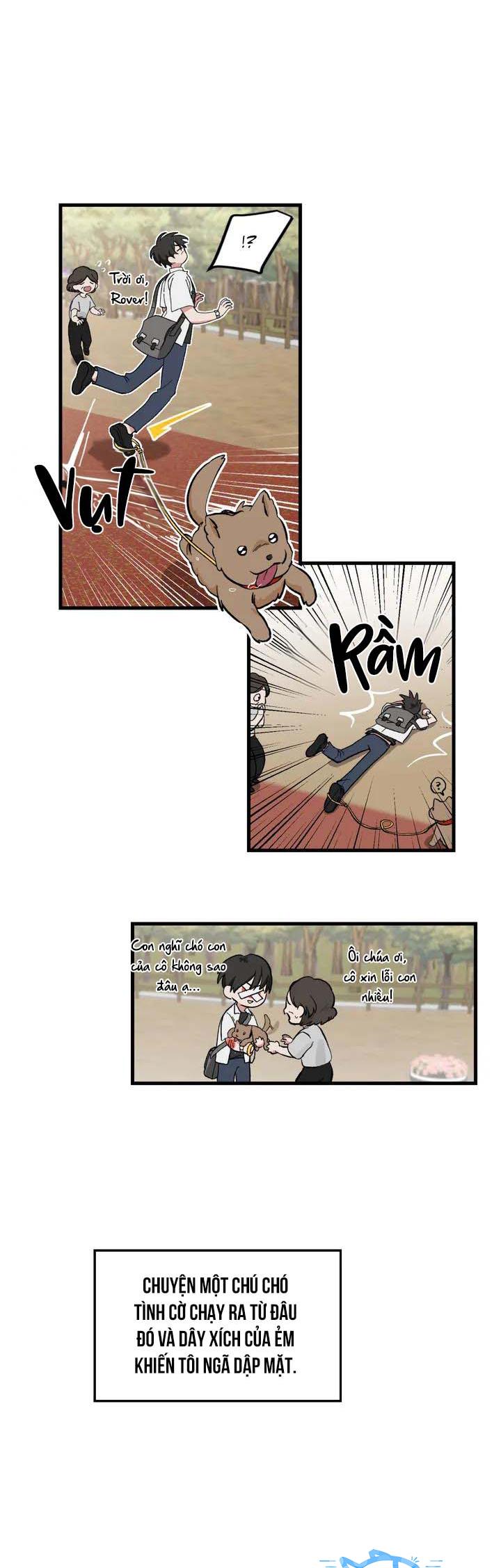 Trang 17