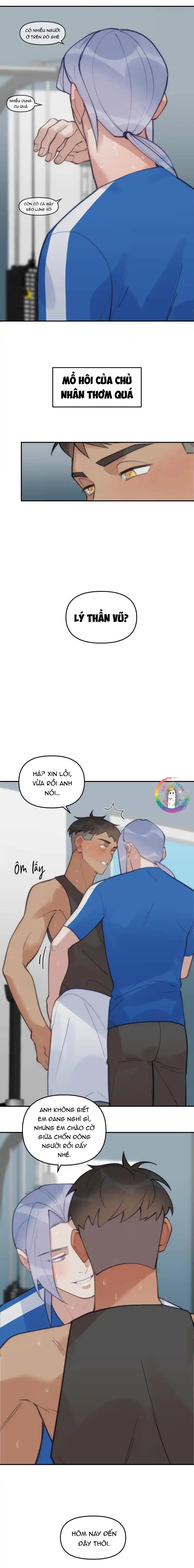 Trang 19