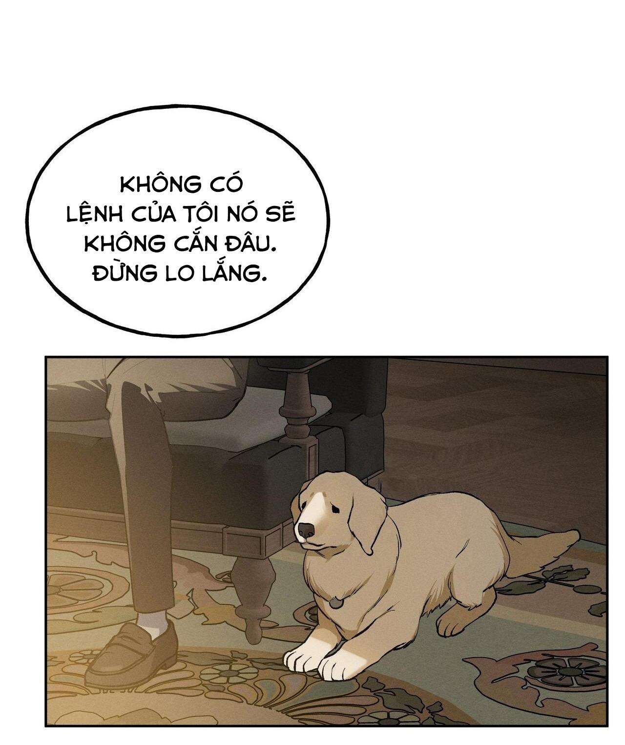 Trang 51