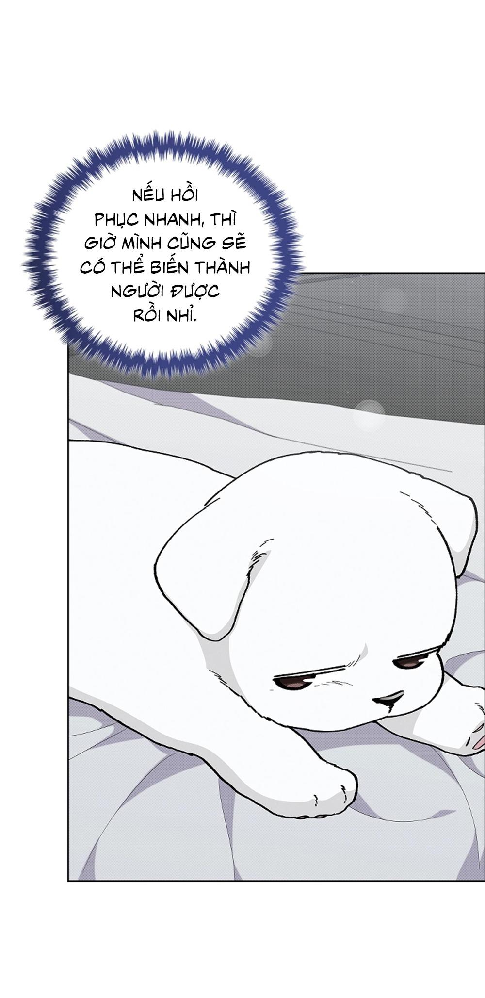 Trang 53