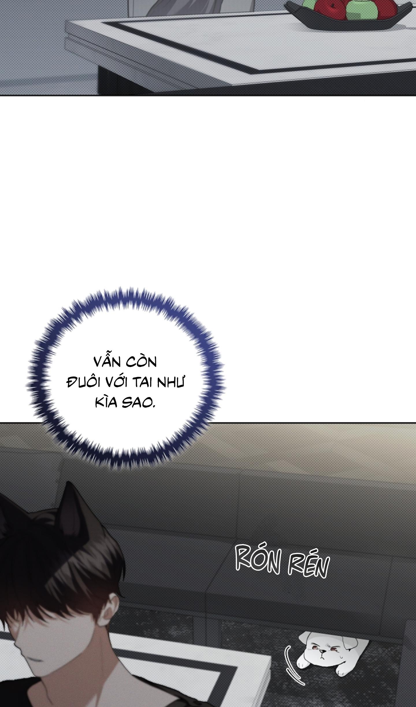 Trang 46