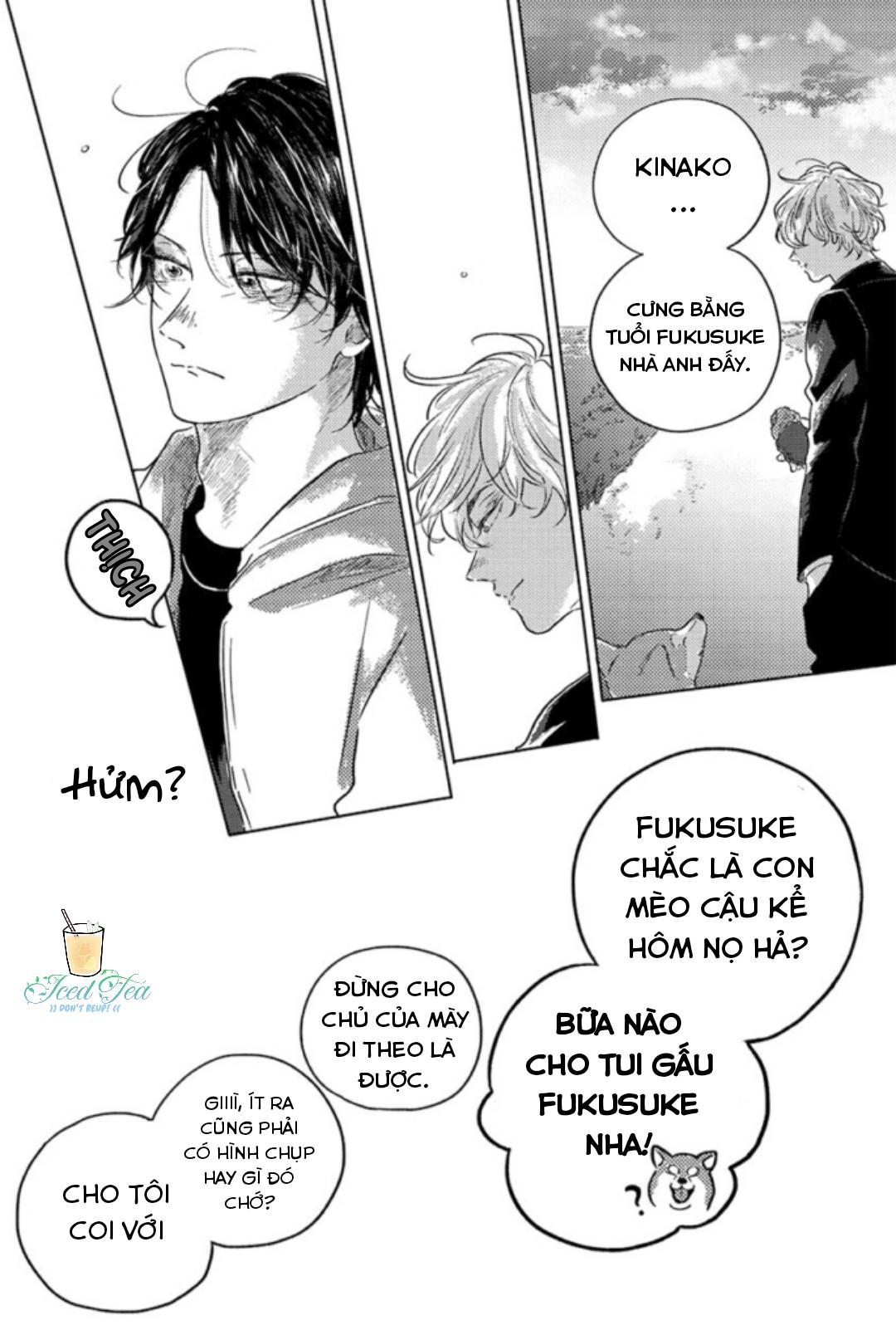 Trang 19