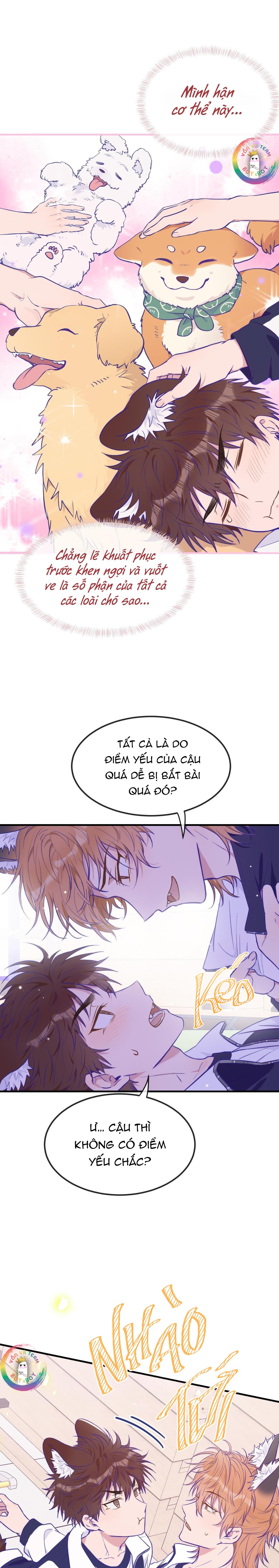 Trang 18
