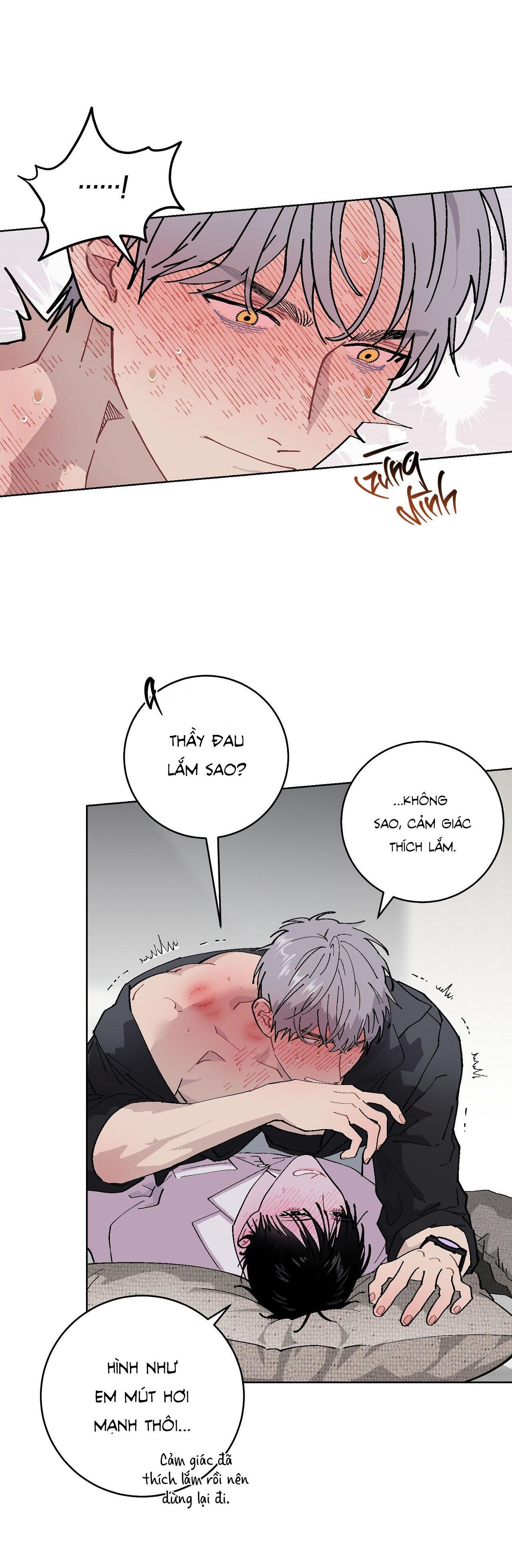 Trang 15