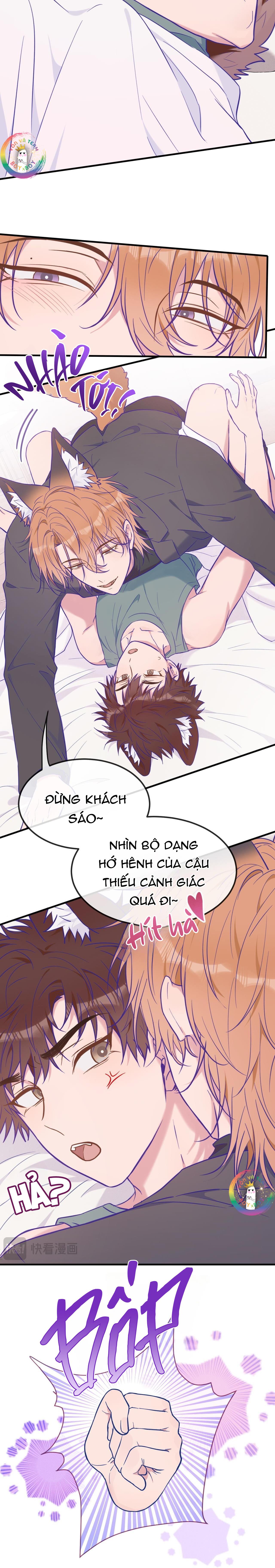 Trang 8