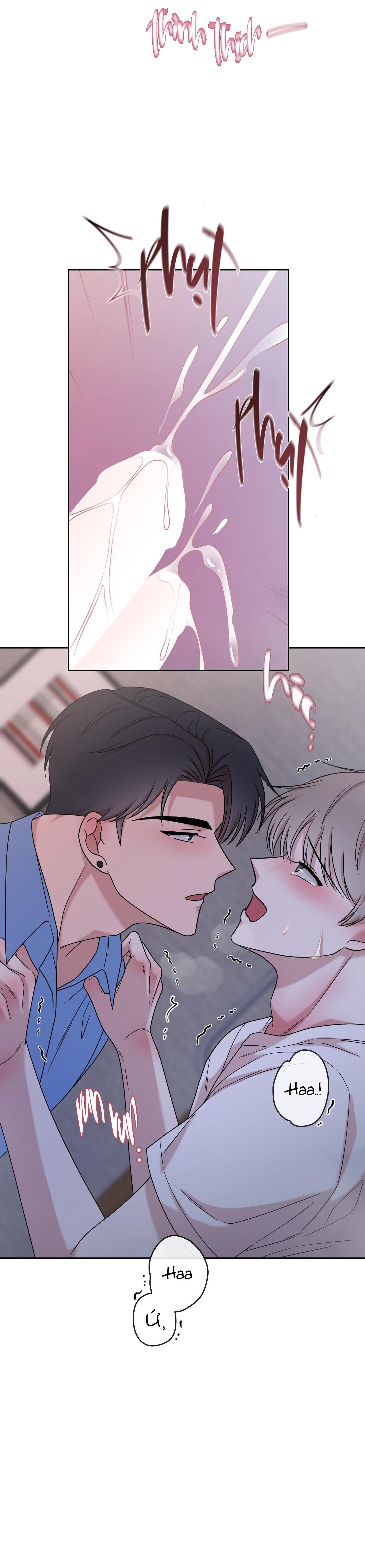 Trang 24