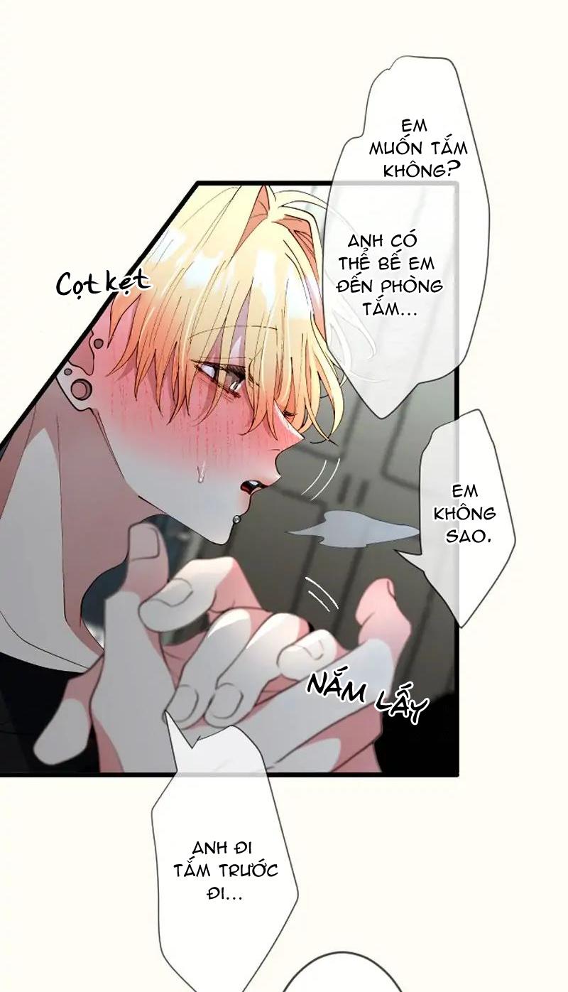 Trang 17