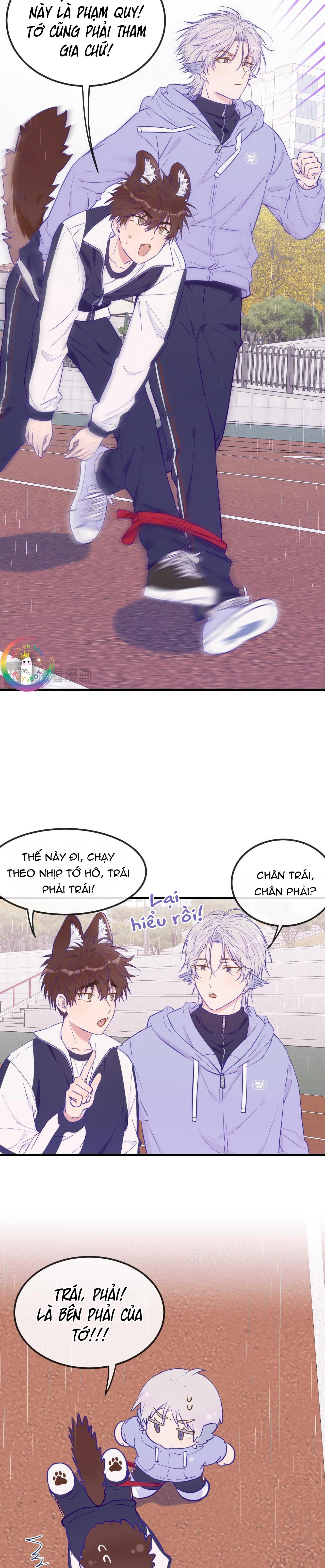 Trang 13