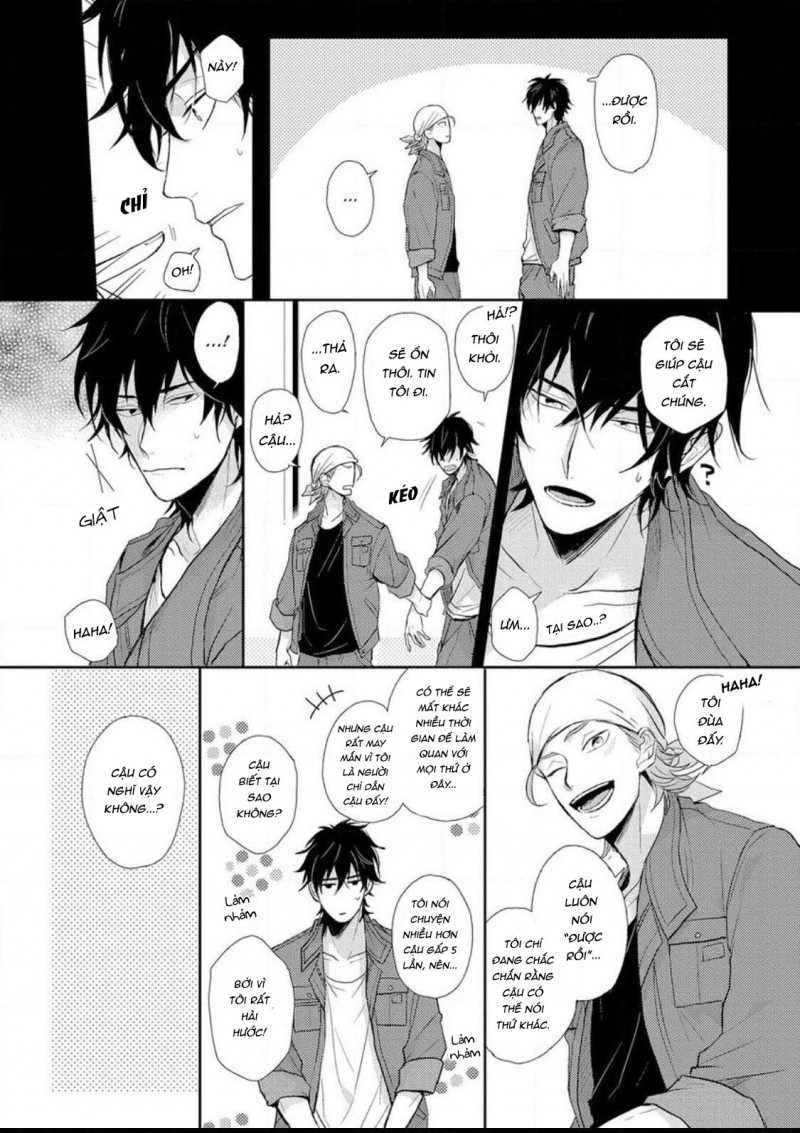 Trang 17