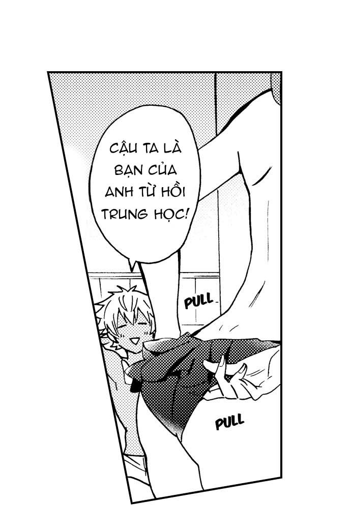 Trang 19