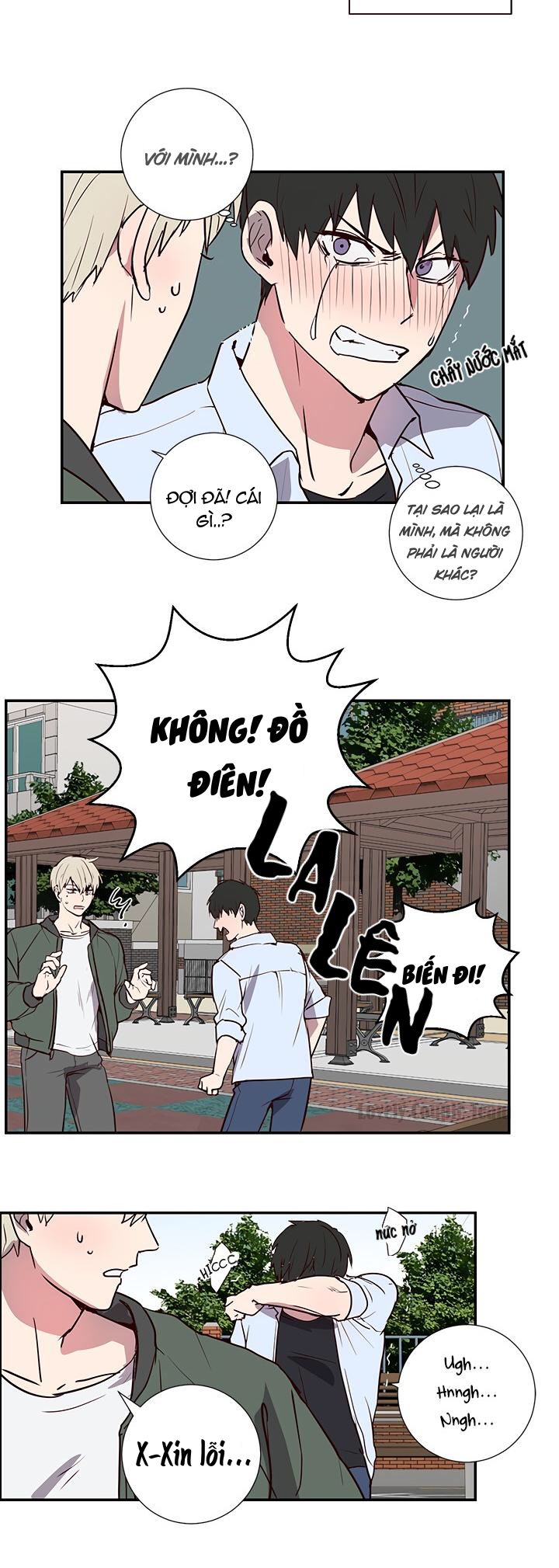 Trang 17