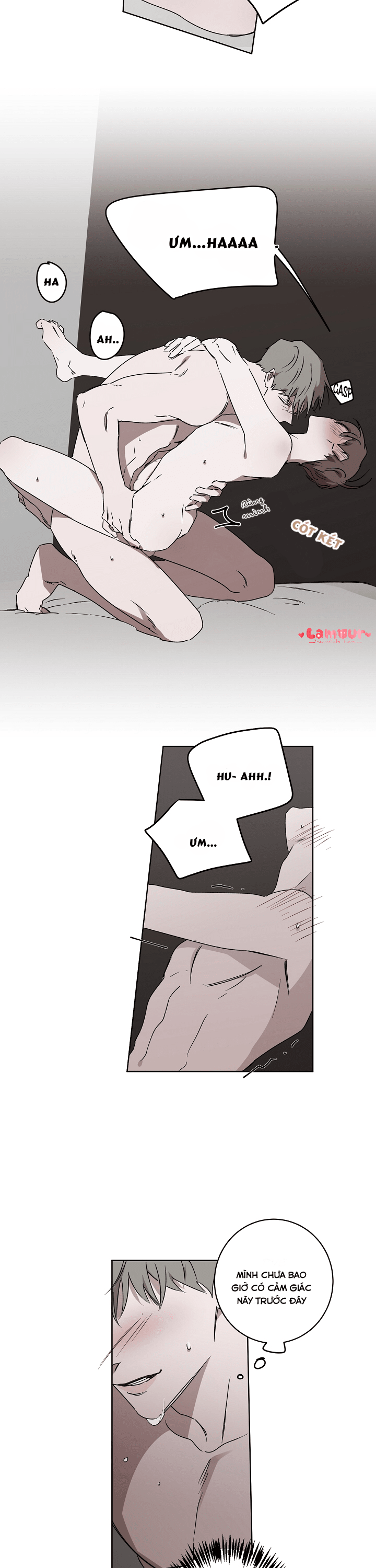 Trang 13