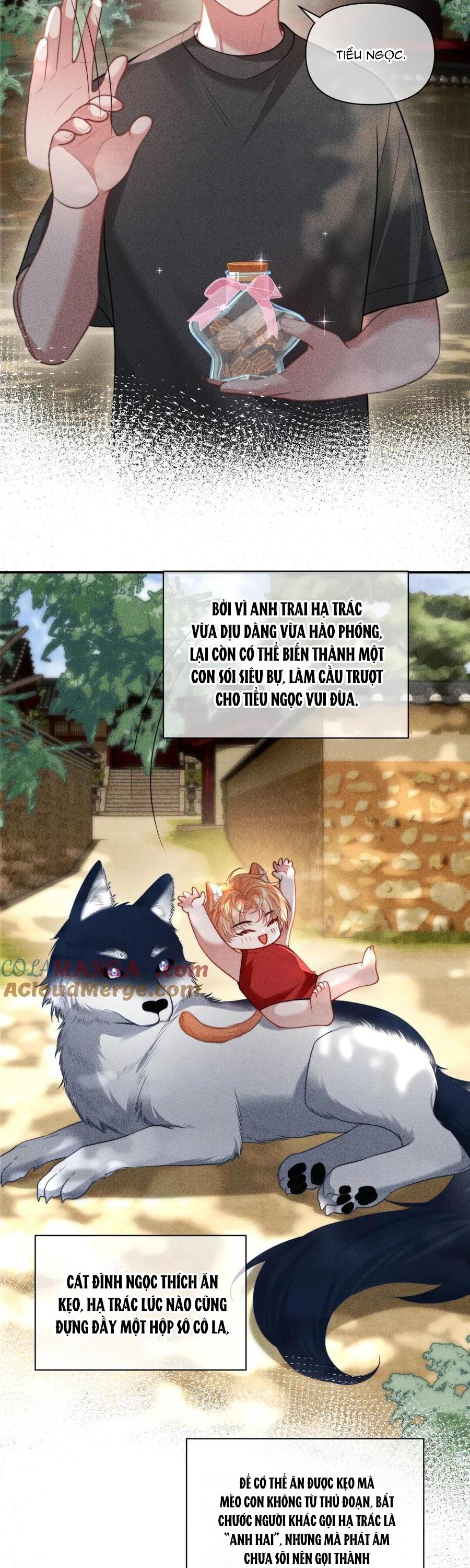 Trang 17