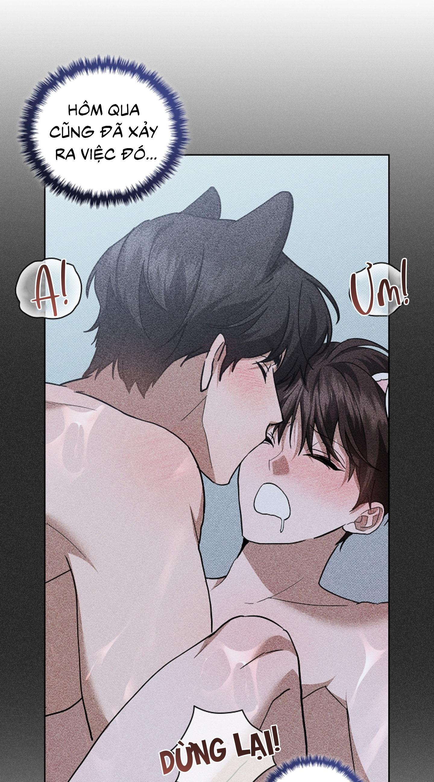 Trang 53