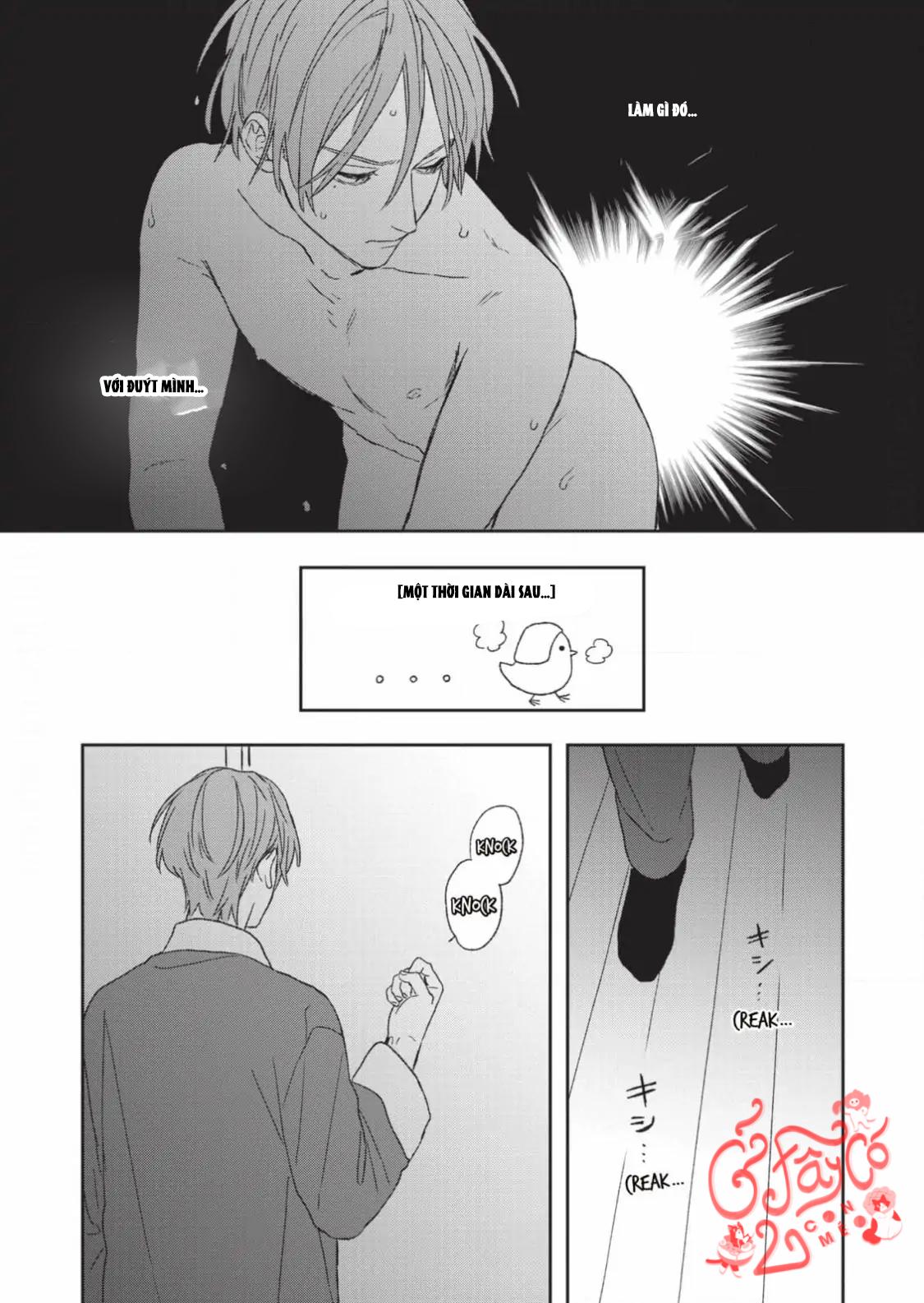 Trang 17