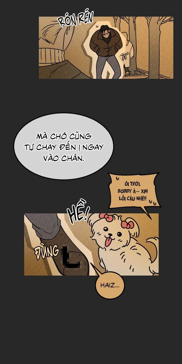 Trang 19