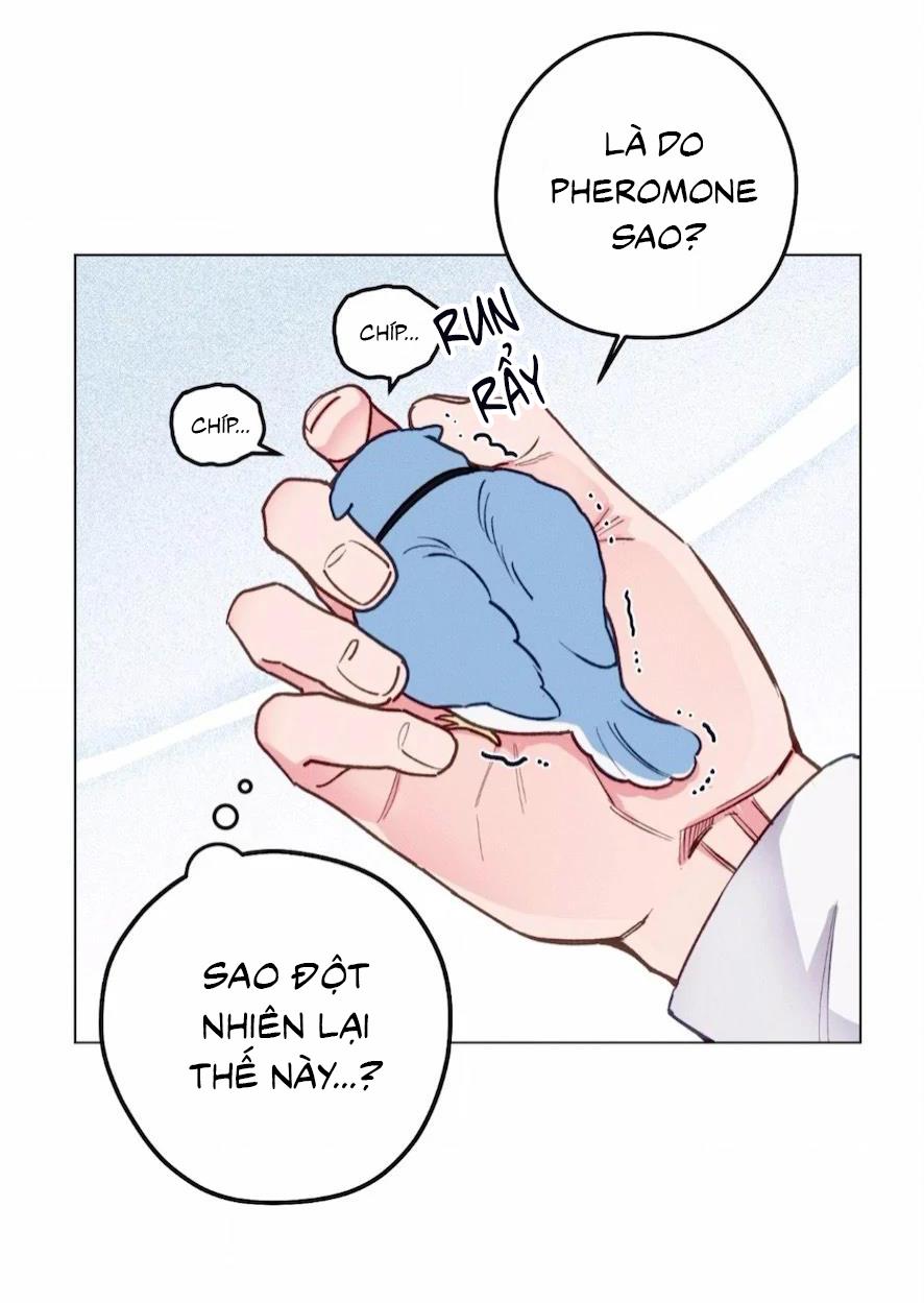 Trang 58