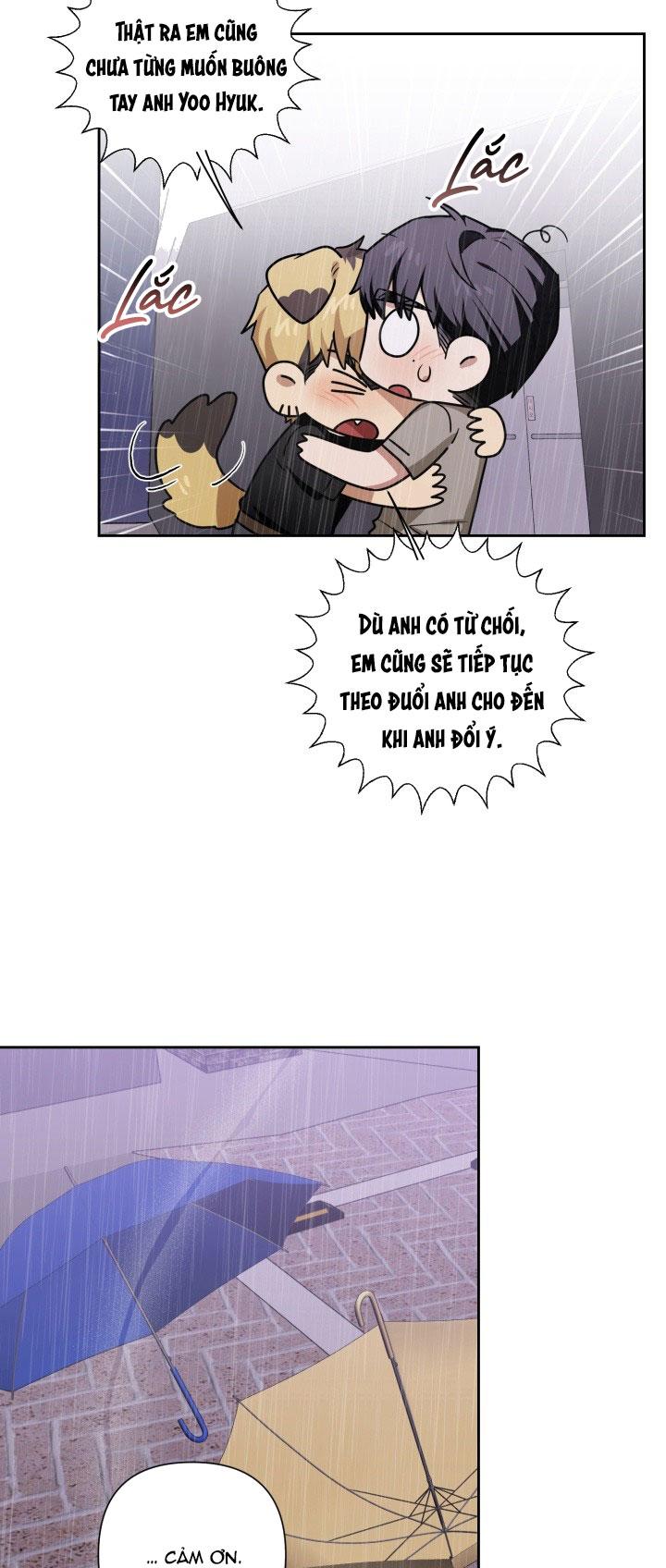 Trang 43