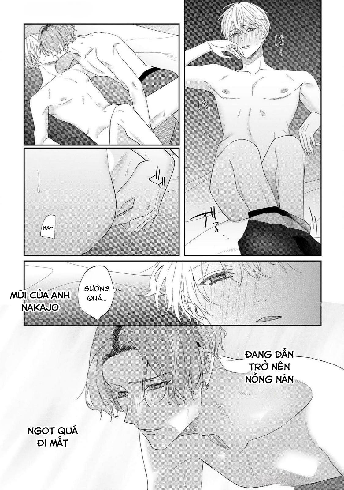 Trang 26