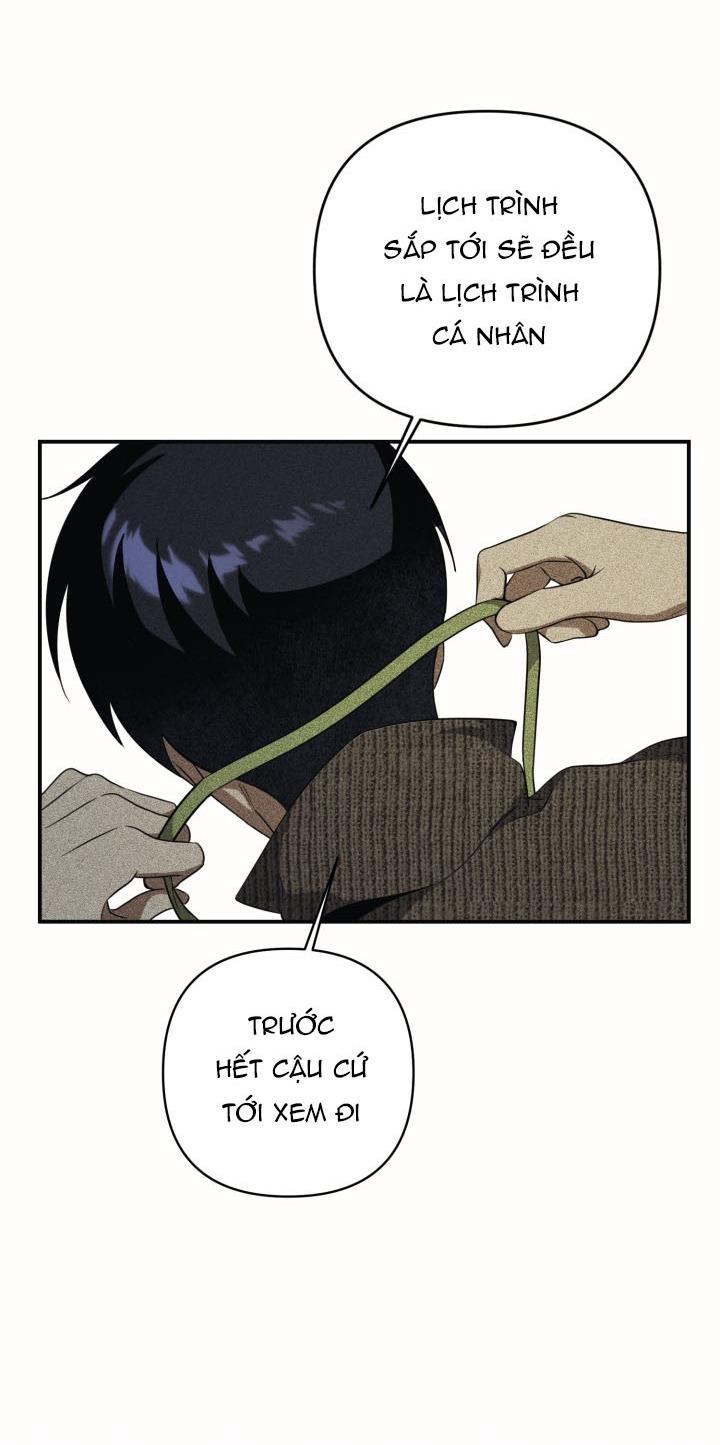 Trang 115