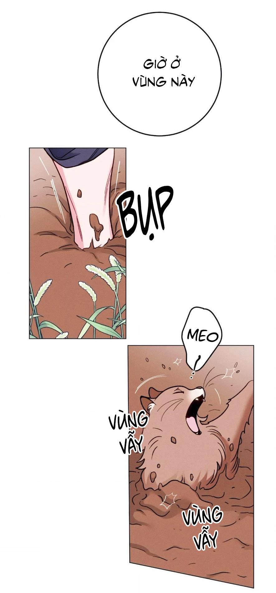 Trang 65
