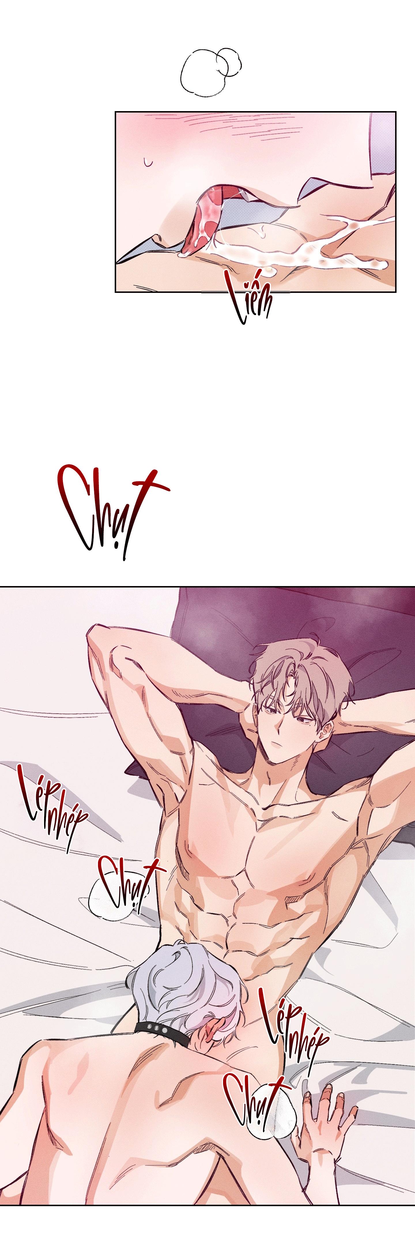 Trang 17