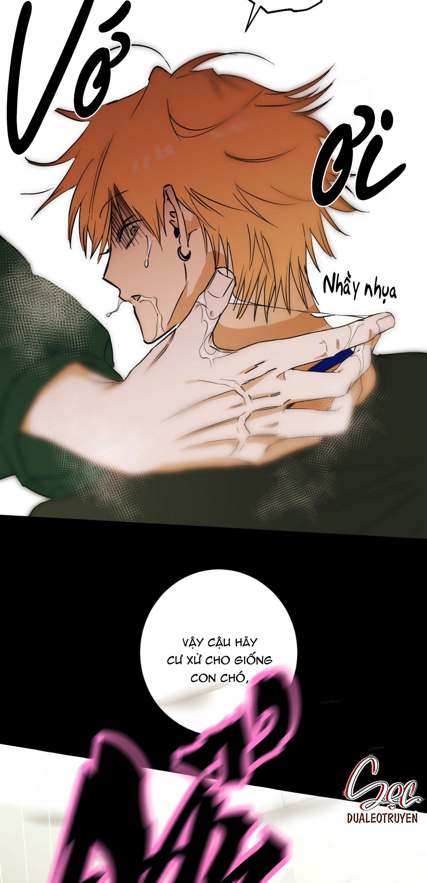 Trang 117