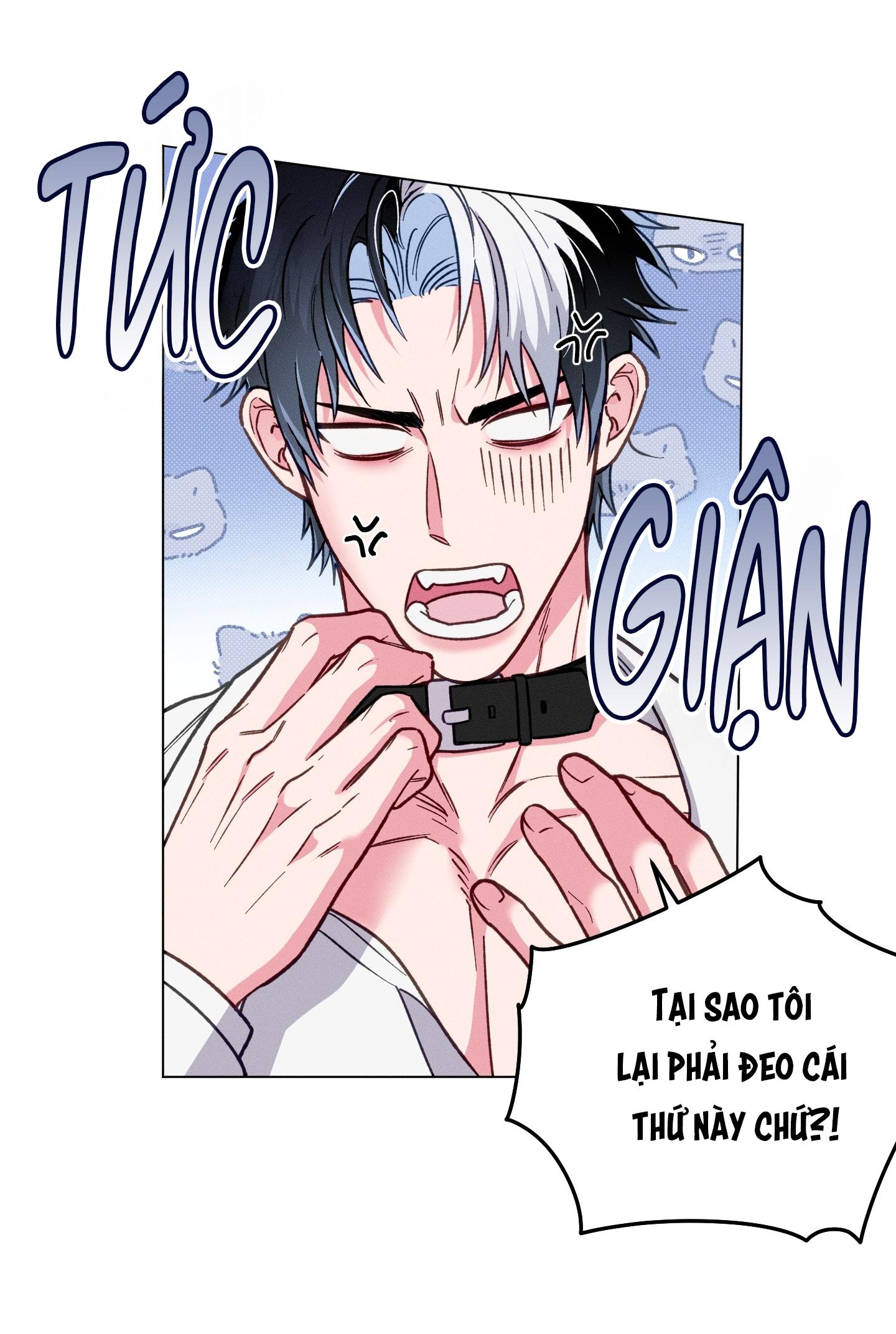 Trang 44