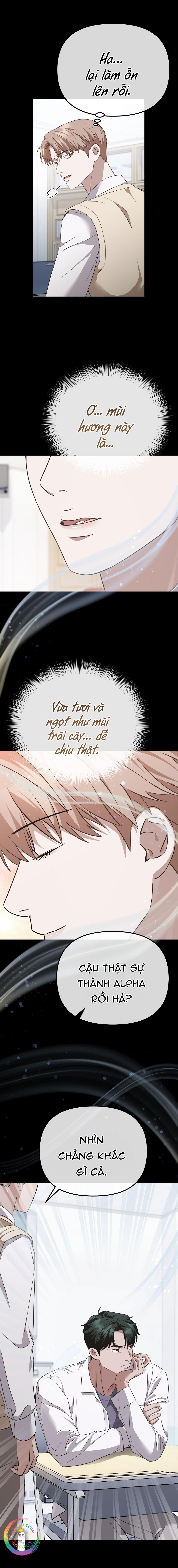 Trang 15