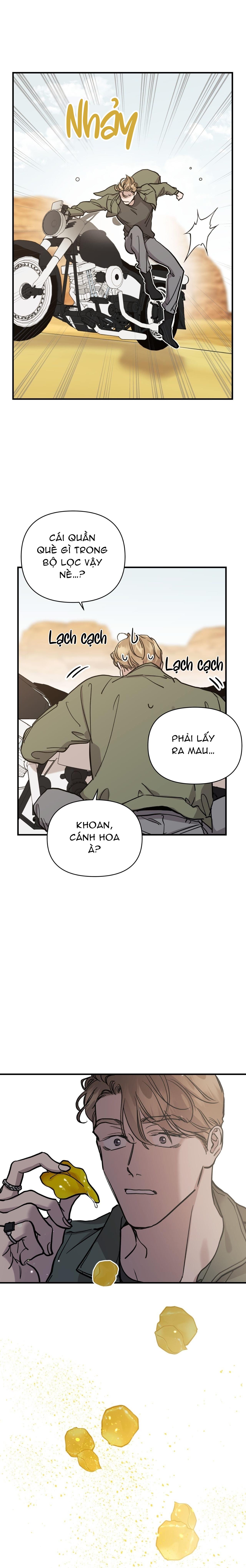 Trang 13