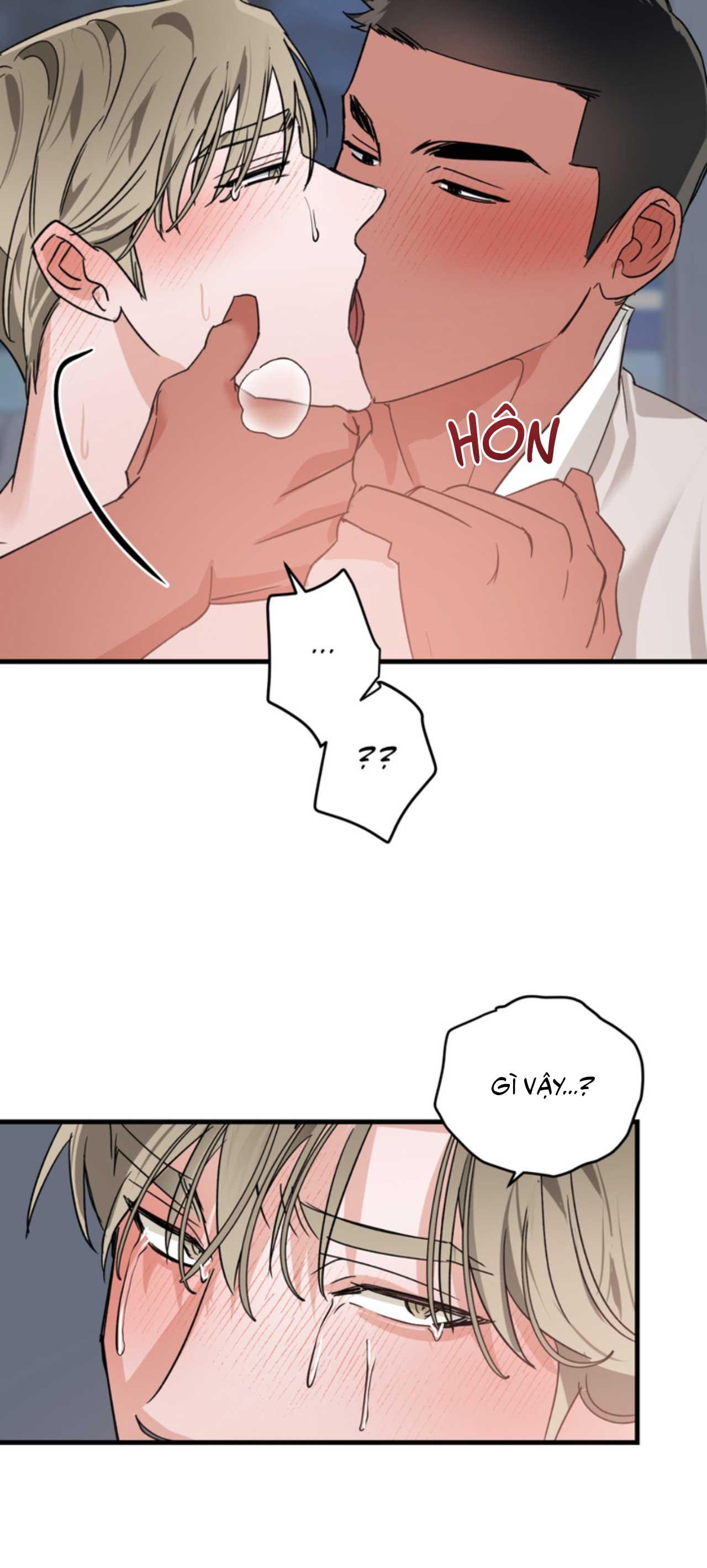 Trang 24