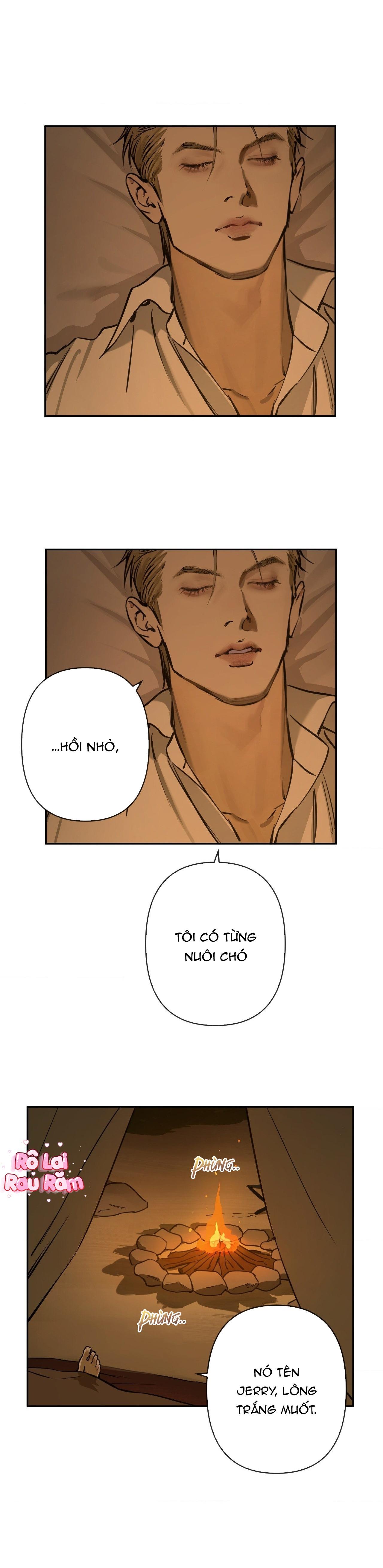Trang 15