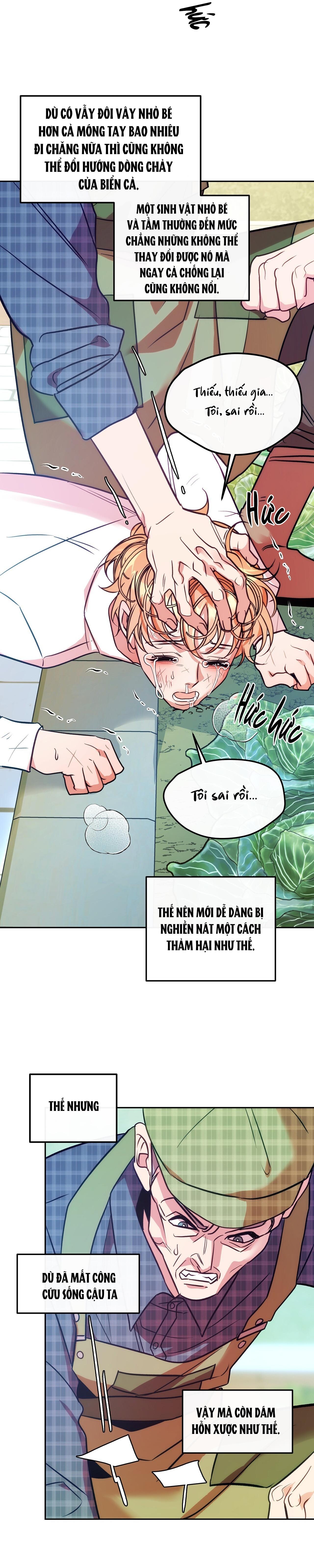Trang 27