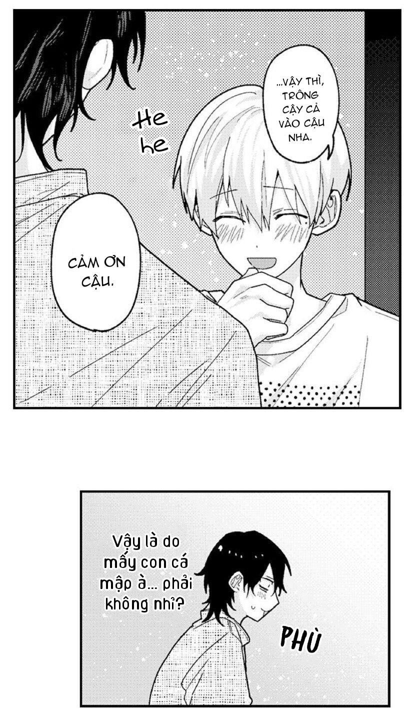 Trang 15