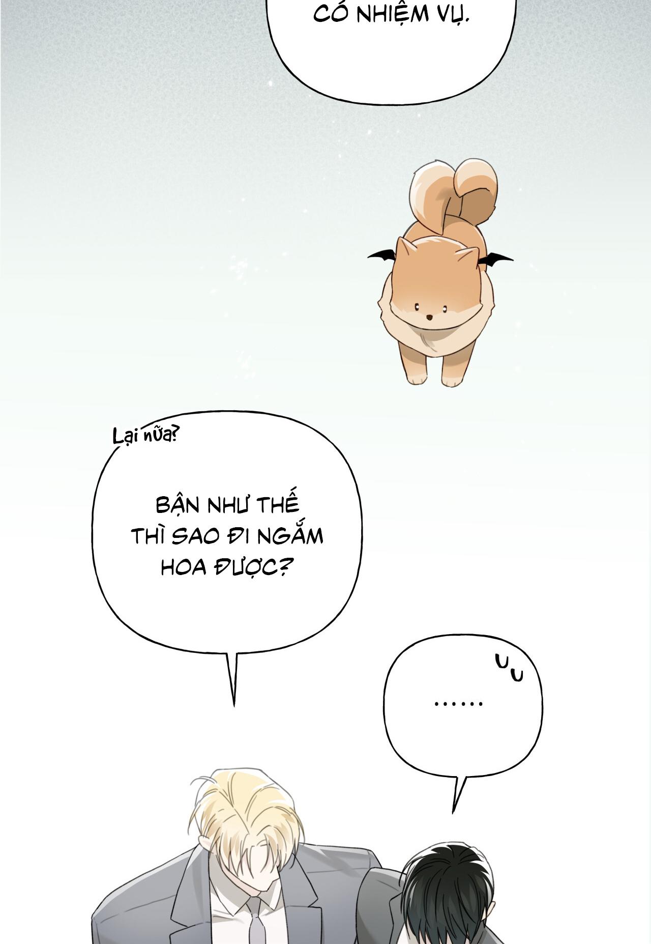 Trang 51