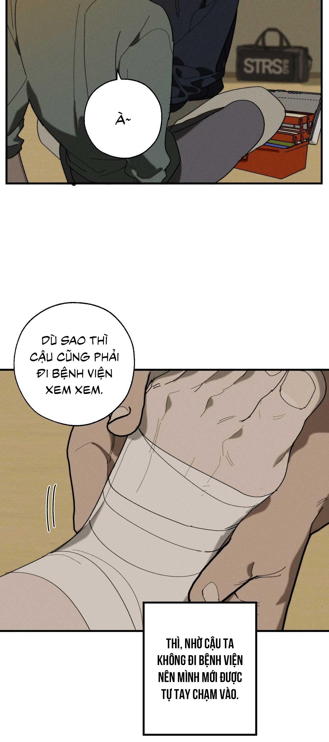 Trang 31