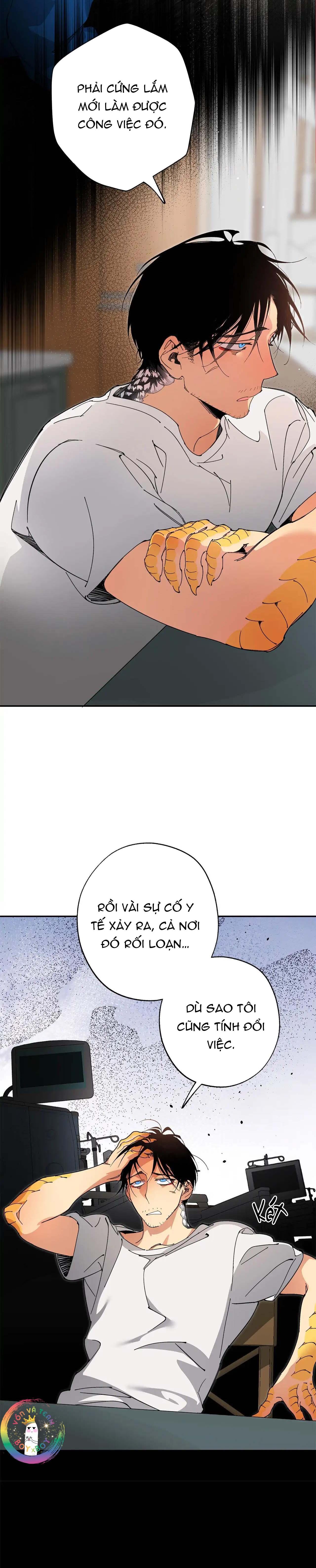 Trang 19
