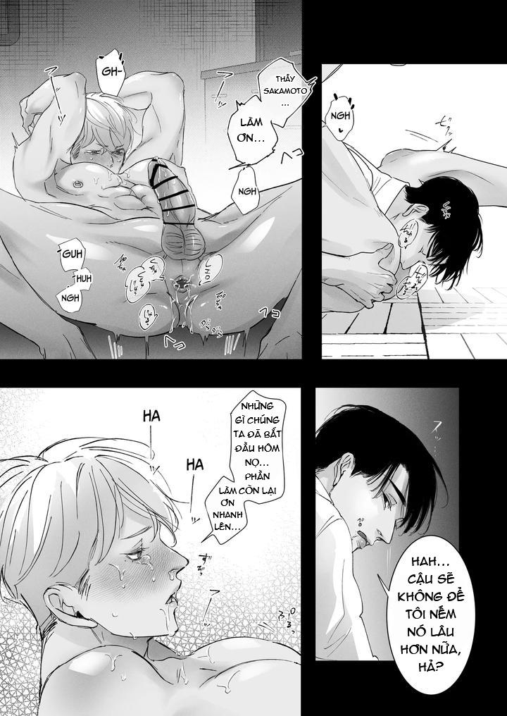 Trang 16