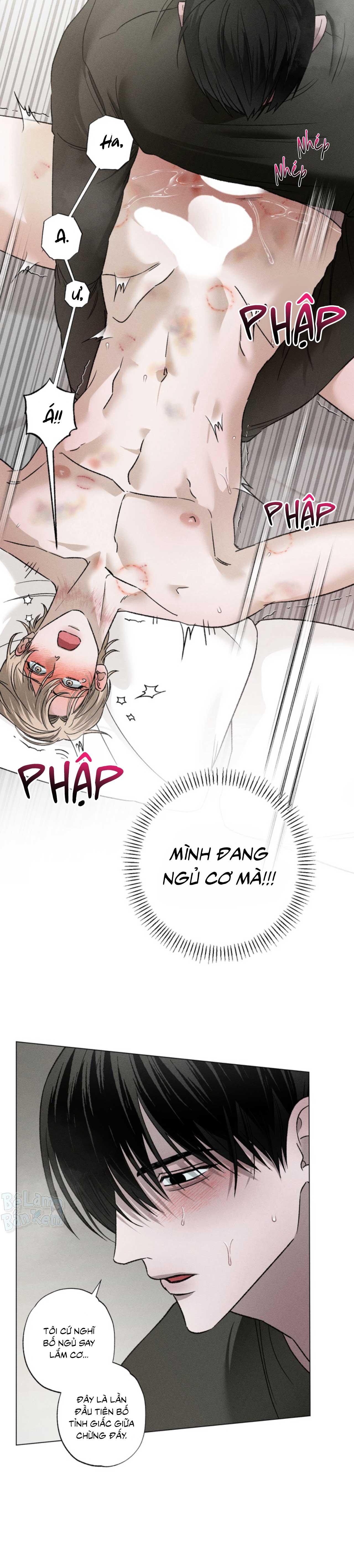 Trang 12