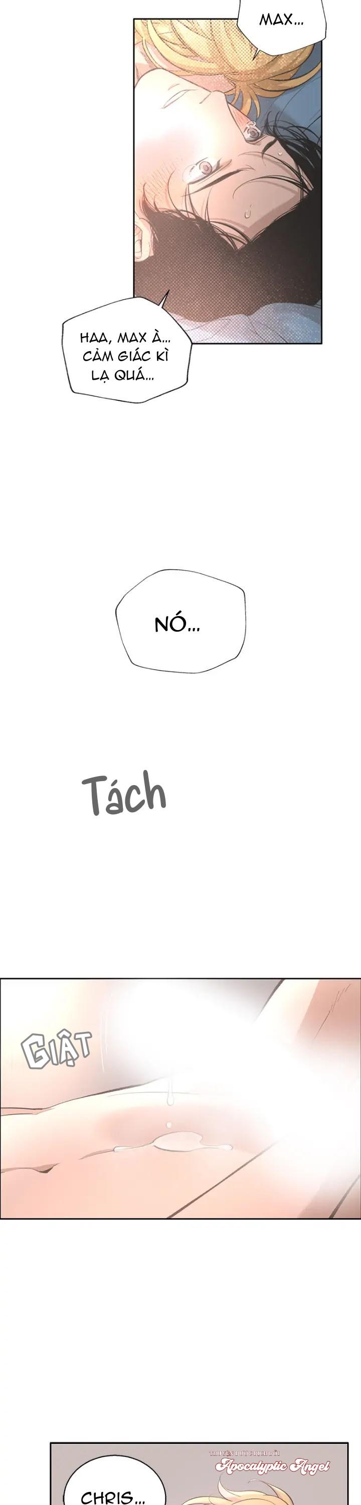 Trang 21