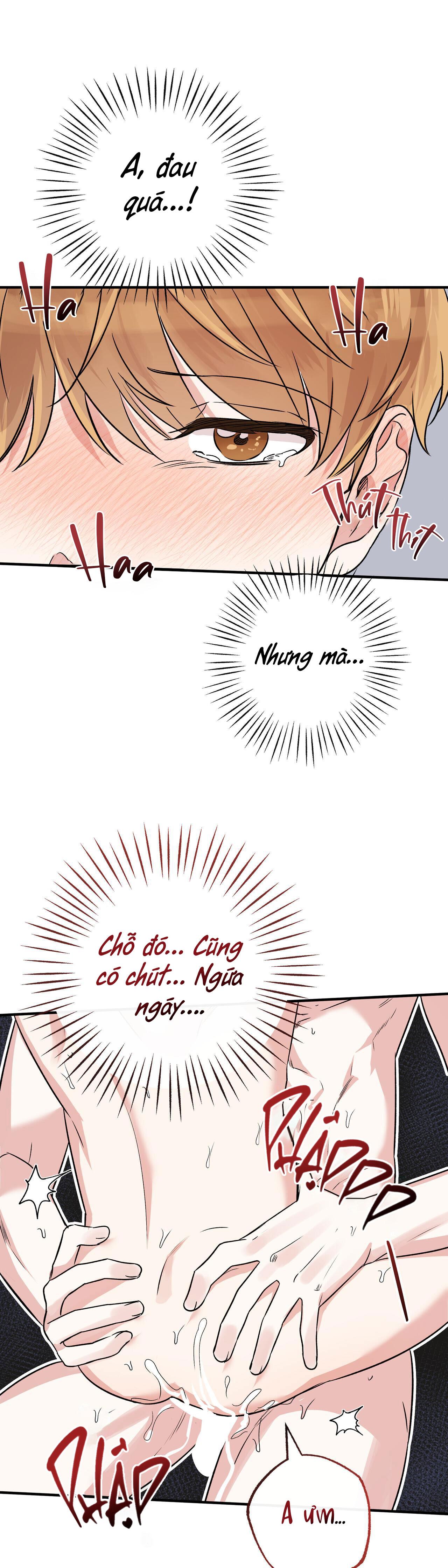 Trang 27
