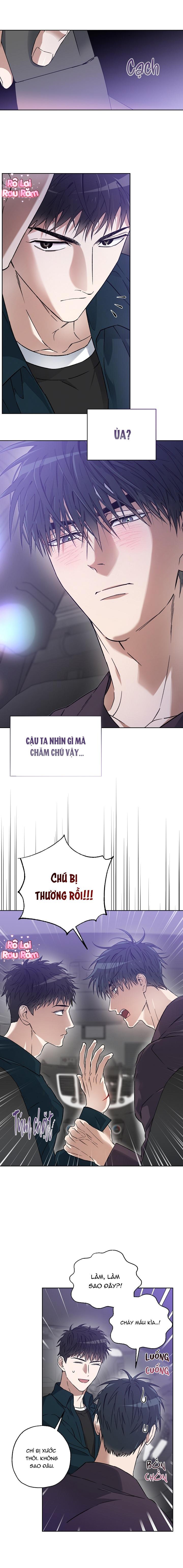 Trang 15