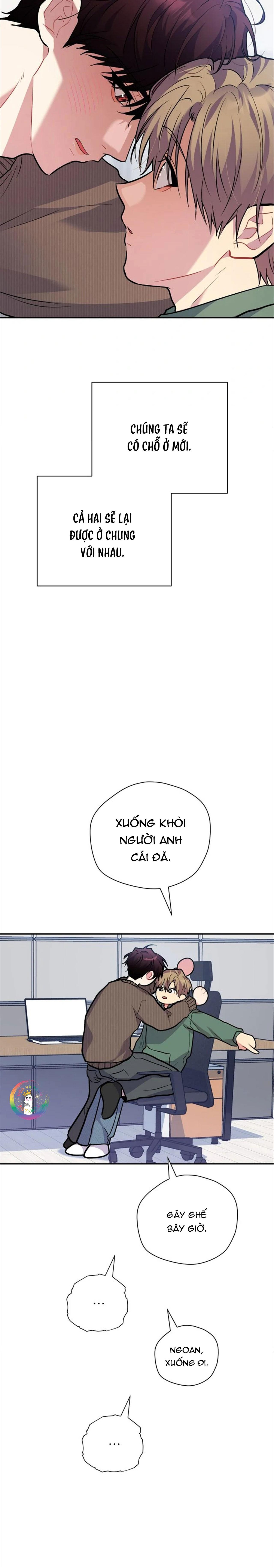 Trang 19