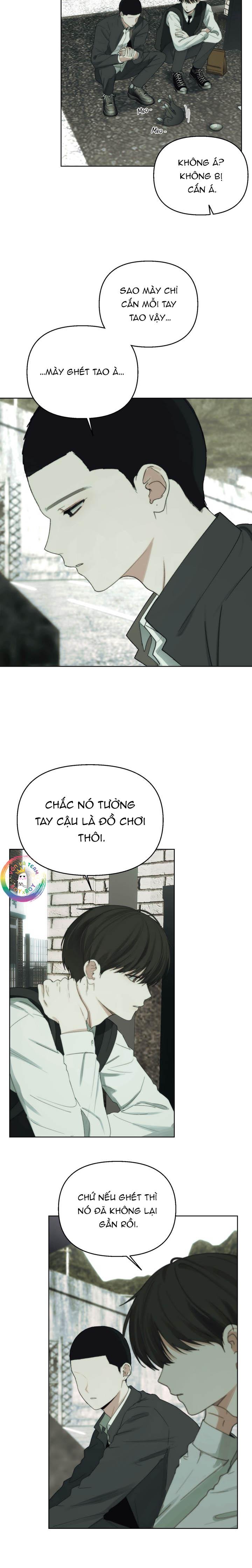 Trang 15