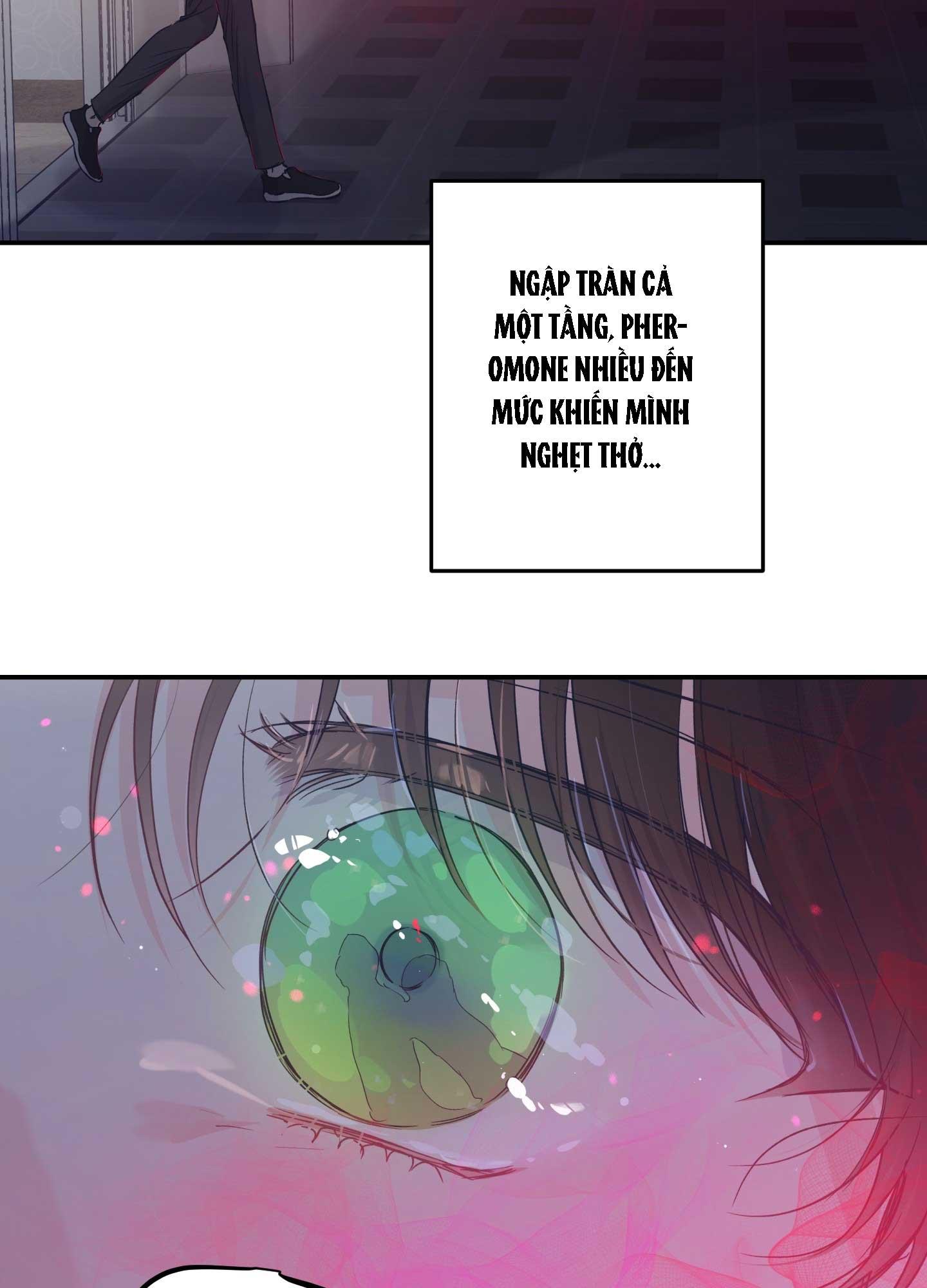 Trang 49