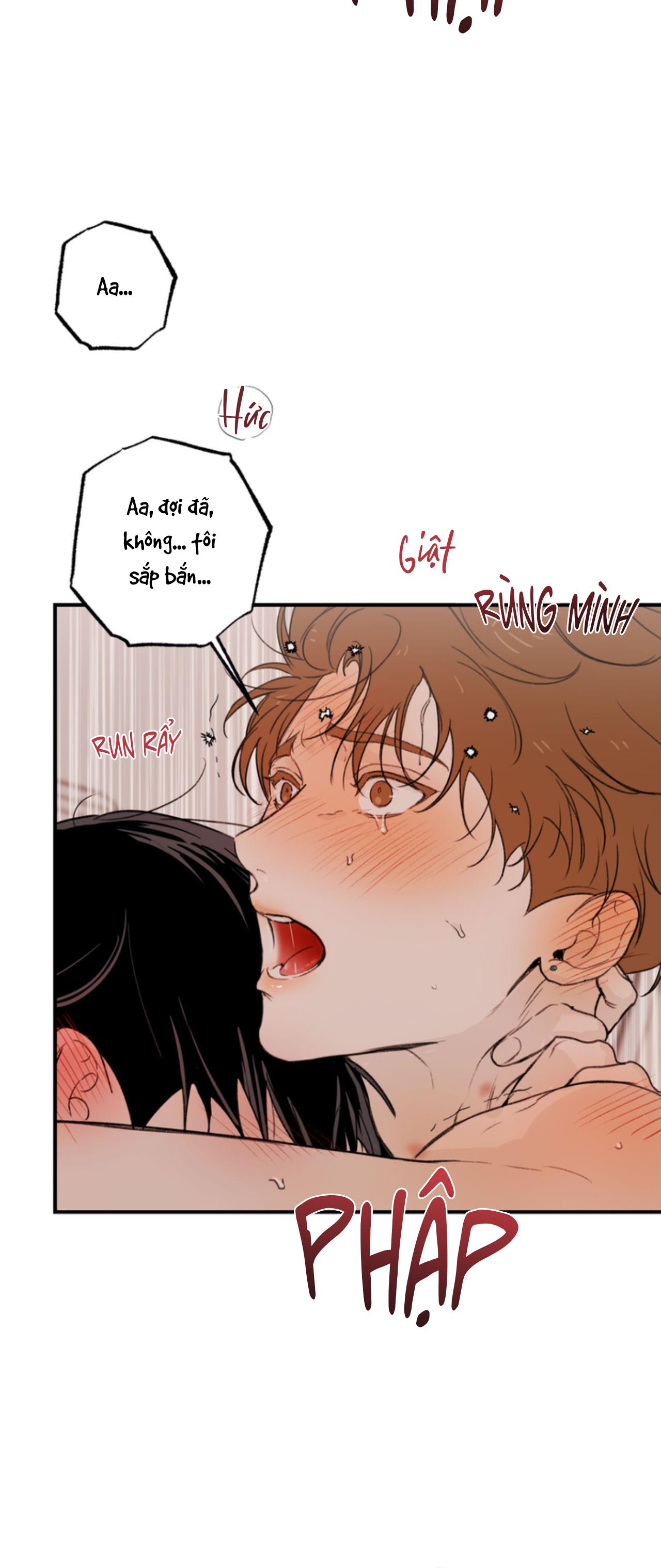 Trang 60