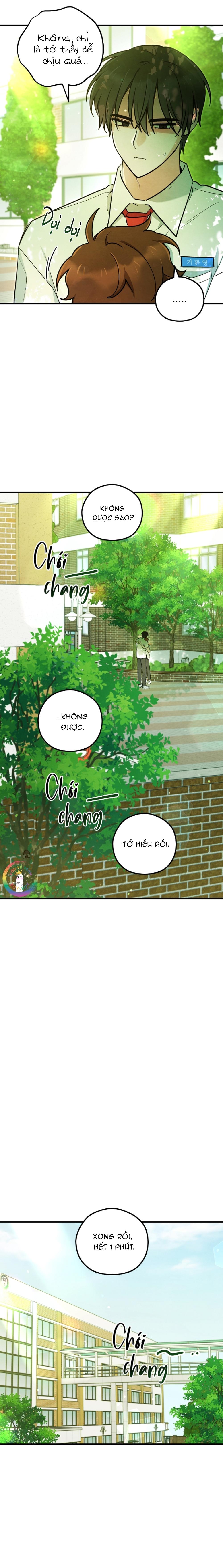 Trang 14