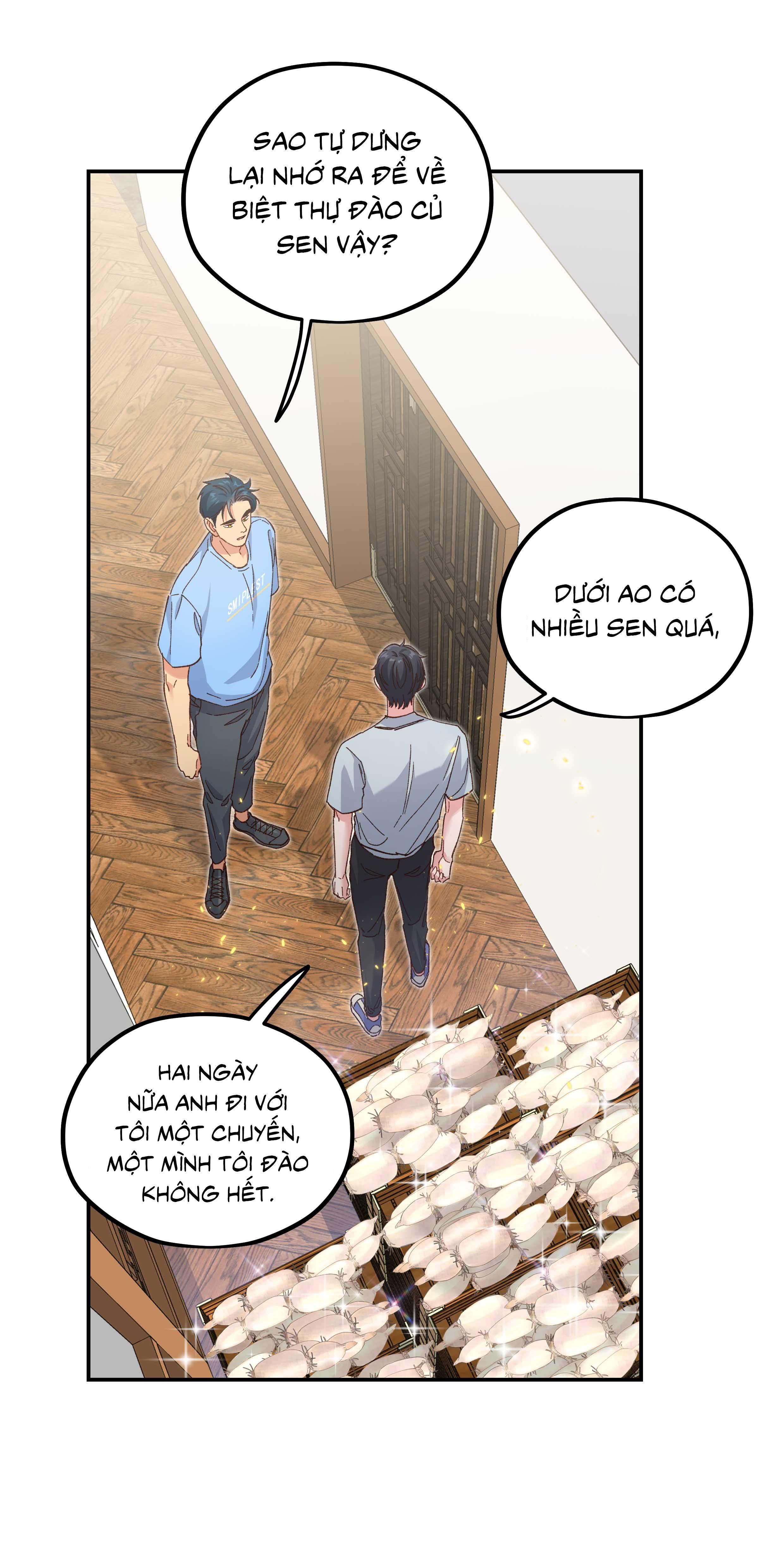 Trang 17