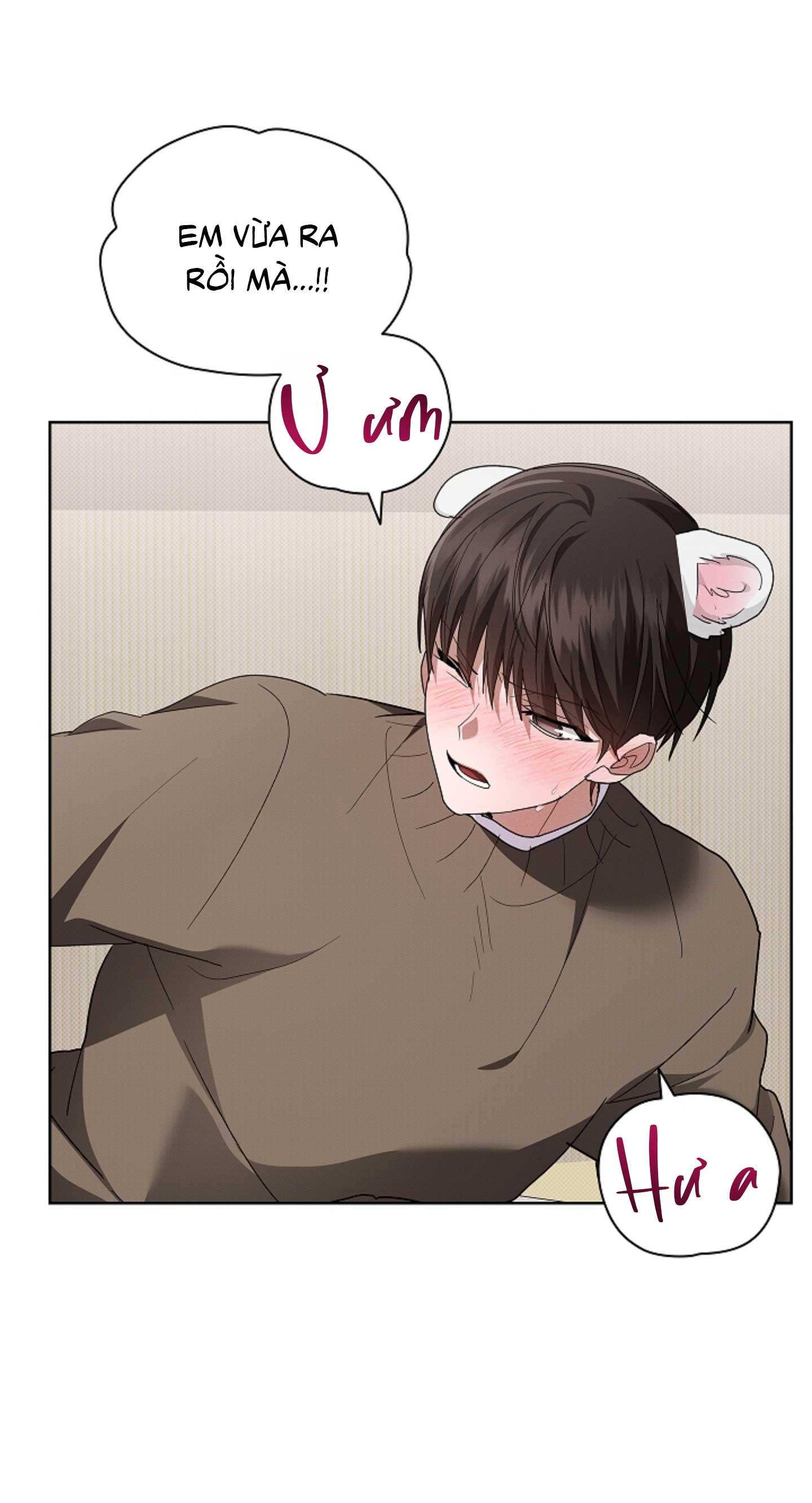 Trang 43