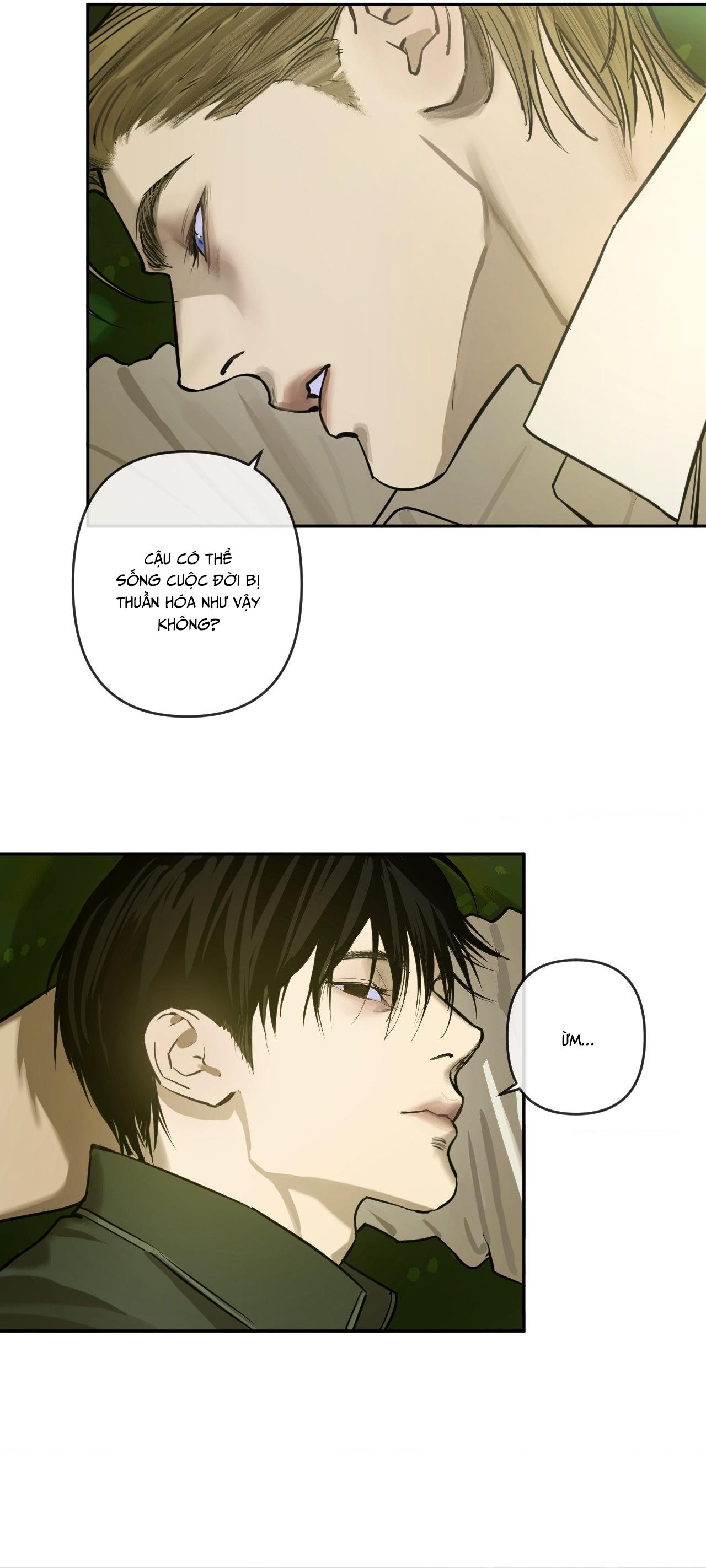 Trang 37